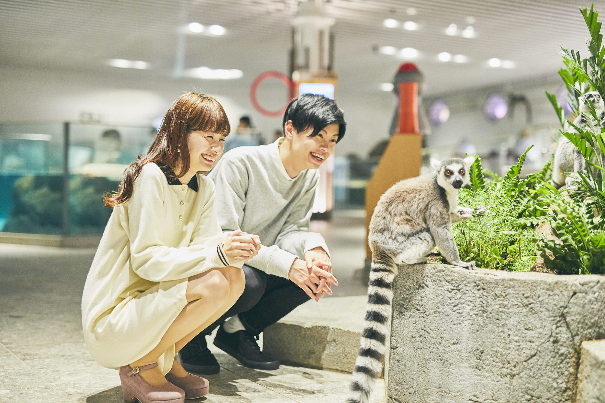 NIFREL(ニフレル)